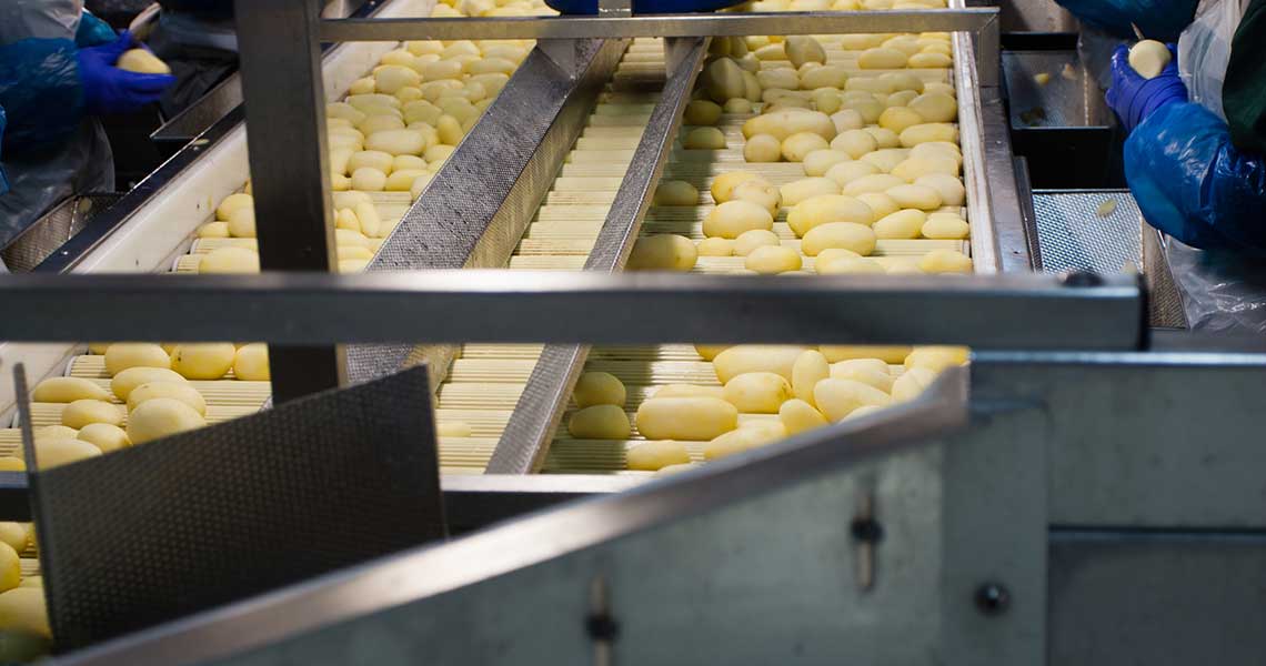 Vegetable Processing Plant